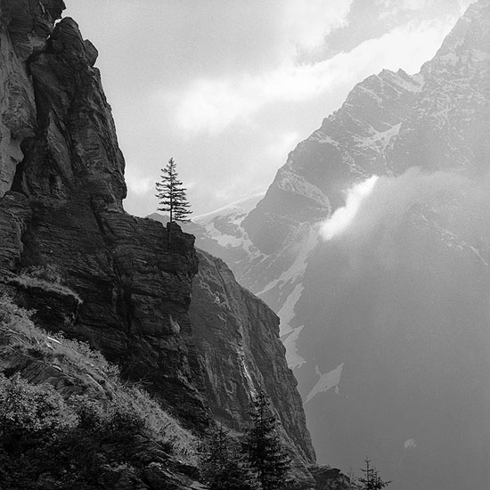 Ein Ausblick vom Spazierweg, auf dem man vor über 140 Jahren in 30 Minuten vom Hotel
Alpenclub im Maderanertal, CH, zum Höfi-Gletscher gelangte. Für die Sommerferien 1870
hatte Friedrich Nietzsche einen gemeinsamen sechswöchigen Aufenthalt mit seiner
Schwester und der Familie Wagner in diesem Hotel geplant. Am 24. Juli sagten die
Wagners aber wegen der hohen Hotelpreise und des Ausbruchs des Deutsch-
Französischen Krieges am 15. Juli ab. Daraufhin blieben Friedrich Nietzsche
und seine Schwester auch nur vom 30. Juli bis 8. August 1870 dort.

Thomas Steinert
1990/99, Piezo-Pigment-Print, 40 x 40 cm, Ed. 7 

